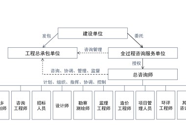 项目管理可视化手册，项目技术咨询流程图解读