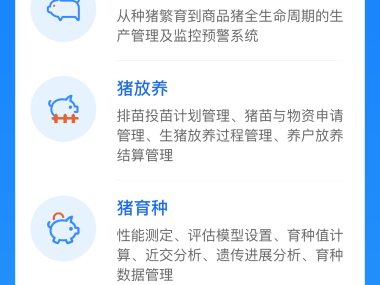 猪事邦技术咨询室,助企业破局创新,共绘辉煌蓝图