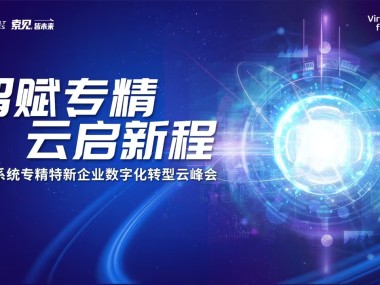 远程技术咨询助力企业数字化转型加速