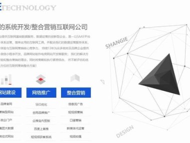 数字化时代的智慧护航，网络服务技术咨询公司崛起