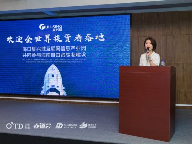 海南技术咨询助力企业转型,推动区域经济升级发展