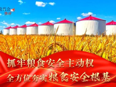 全方位安全守护指南，安全技术咨询宣传册